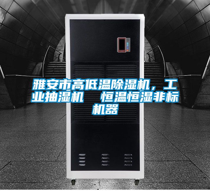 雅安市高低溫91看片在线下载機，工業抽濕機  恒溫恒濕非標機器