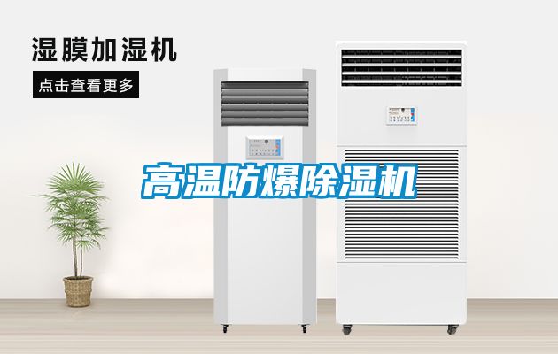 高溫防爆91看片在线下载機