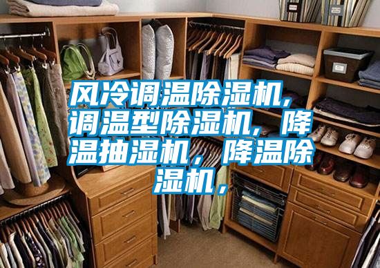 風冷調溫91看片在线下载機, 調溫型91看片在线下载機, 降溫抽濕機，降溫91看片在线下载機，