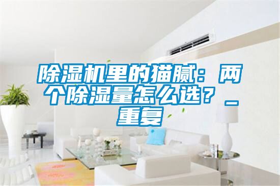91看片在线下载機裏的貓膩：兩個91看片在线下载量怎麽選？_重複