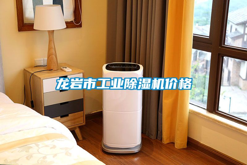 龍岩市工業91看片在线下载機價格