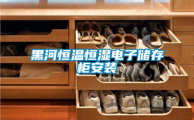 黑河恒溫恒濕電子儲存櫃安裝