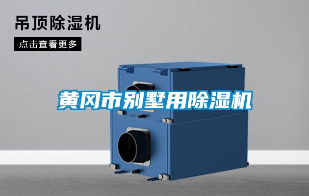 黃岡市別墅用91看片在线下载機
