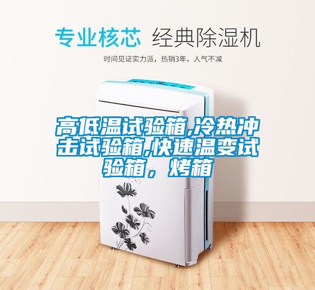 高低溫試驗箱,冷熱衝擊試驗箱,快速溫變試驗箱，烤箱