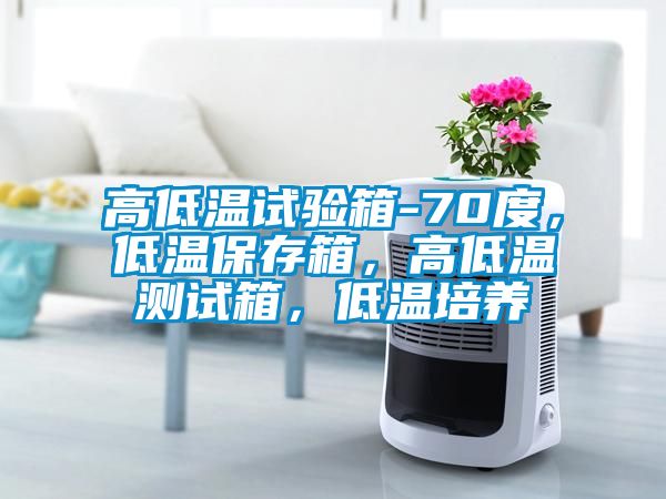 高低溫試驗箱-70度，低溫保存箱，高低溫測試箱，低溫培養