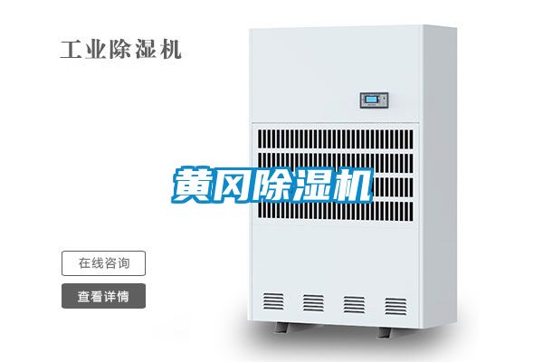 黃岡91看片在线下载機
