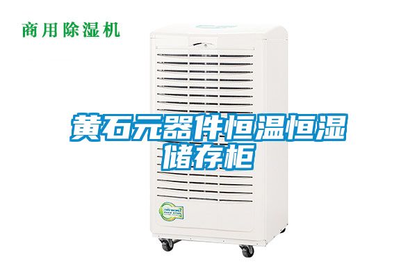 黃石元器件恒溫恒濕儲存櫃