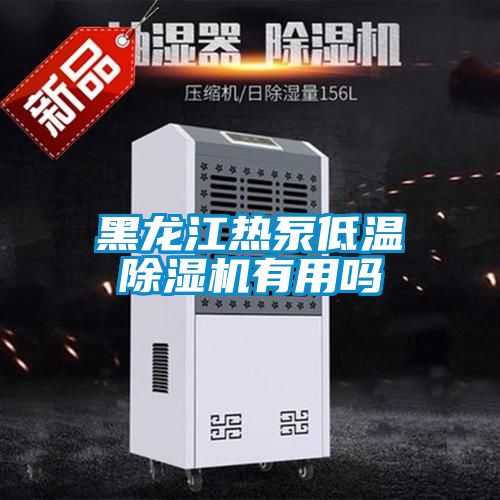 黑龍江熱泵低溫91看片在线下载機有用嗎