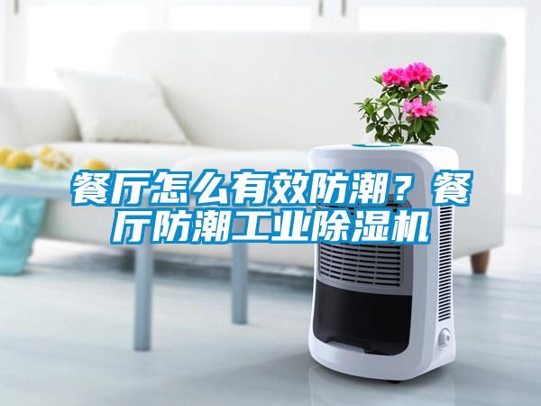 餐廳怎麽有效防潮？餐廳防潮工業91看片在线下载機