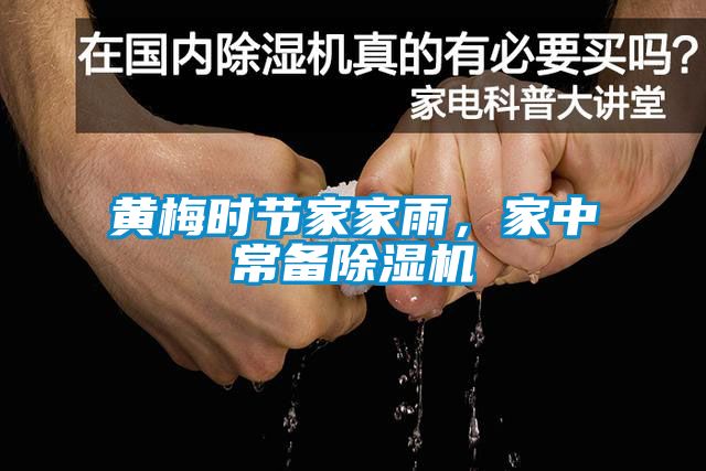 黃梅時節家家雨，家中常備91看片在线下载機