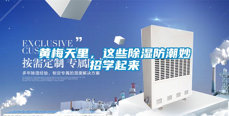黃梅天裏，這些91看片在线下载防潮妙招學起來
