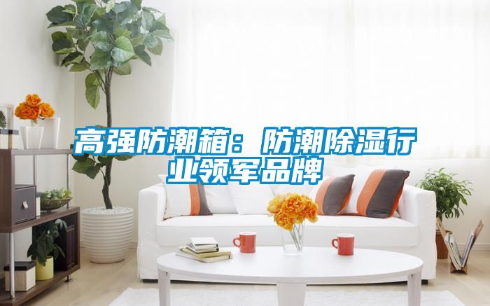 高強防潮箱：防潮91看片在线下载行業領軍品牌