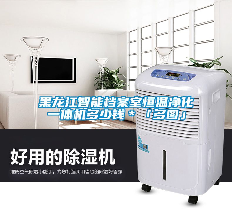 黑龍江智能檔案室恒溫淨化一體機多少錢＊「多圖」