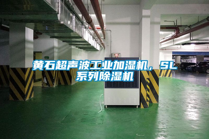 黃石超聲波工業加濕機，SL係列91看片在线下载機