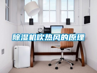 企業手机看片AV短片91看片在线下载機吹熱風的原理