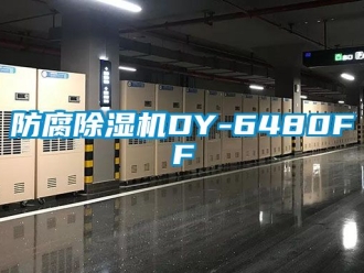 行業手机看片AV短片防腐91看片在线下载機DY-6480FF