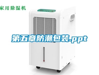 企業手机看片AV短片第五章防潮包裝.ppt