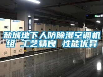 行業手机看片AV短片鹽城地下人防91看片在线下载空調機組 工藝精良 性能優異