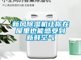 知識百科新風91看片在线下载機讓你在屋裏也能感受到新鮮空氣