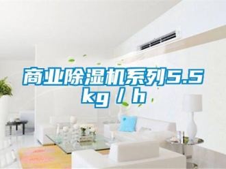 知識百科商業91看片在线下载機係列5.5kg／h