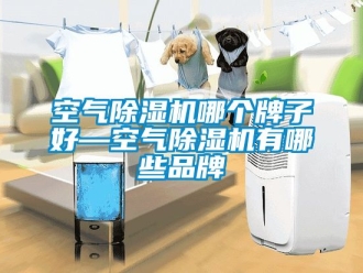 企業手机看片AV短片空氣91看片在线下载機哪個牌子好—空氣91看片在线下载機有哪些品牌