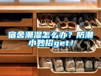 常見問題宿舍潮濕怎麽辦？防潮小妙招get！