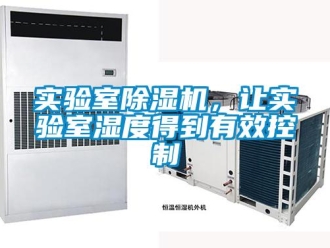 知識百科實驗室91看片在线下载機，讓實驗室濕度得到有效控製