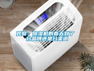 行業手机看片AV短片觀察：91看片在线下载機的春天到了 分品牌還是分渠道