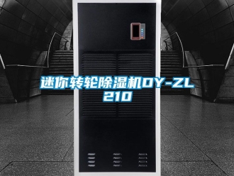 常見問題迷你轉輪91看片在线下载機DY-ZL210