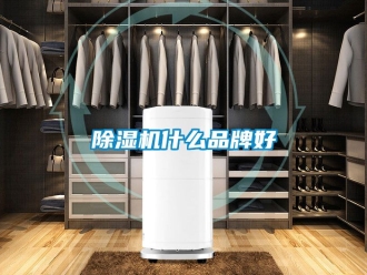 企業手机看片AV短片91看片在线下载機什麽品牌好