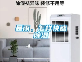 常見問題暴雨，怎樣快速91看片在线下载