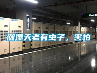 企業手机看片AV短片潮濕天老有蟲子，害怕