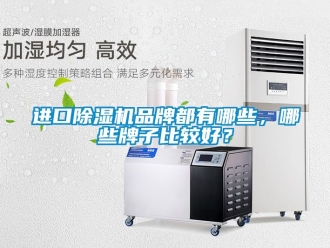 企業手机看片AV短片進口91看片在线下载機品牌都有哪些，哪些牌子比較好？