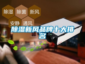 企業手机看片AV短片91看片在线下载新風品牌十大排名