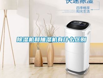 行業手机看片AV短片91看片在线下载機和抽濕機有什麽區別