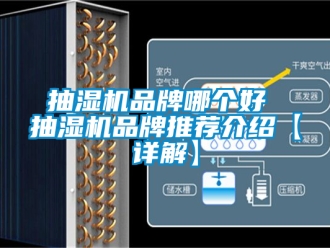 企業手机看片AV短片抽濕機品牌哪個好 抽濕機品牌推薦介紹【詳解】