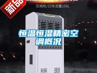 行業手机看片AV短片恒溫恒濕精密空調概況