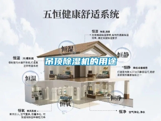 企業手机看片AV短片吊頂91看片在线下载機的用途