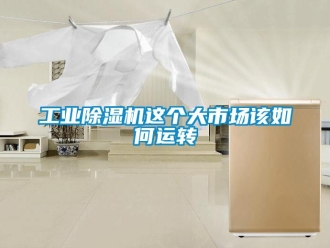 常見問題工業91看片在线下载機這個大市場該如何運轉