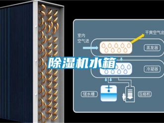 企業手机看片AV短片91看片在线下载機水箱