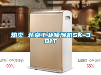 常見問題熱賣 北京工業91看片在线下载機SK-381T