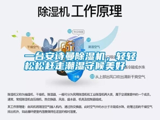 企業手机看片AV短片一台91免费看片APP91看片在线下载機，輕輕鬆鬆趕走潮濕守候美好
