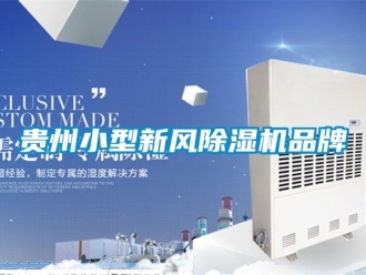 常見問題貴州小型新風91看片在线下载機品牌