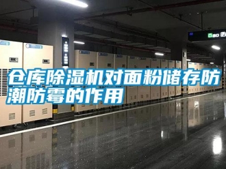 企業手机看片AV短片倉庫91看片在线下载機對麵粉儲存防潮防黴的作用