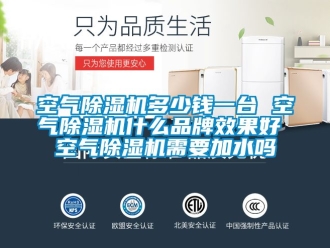 企業手机看片AV短片空氣91看片在线下载機多少錢一台 空氣91看片在线下载機什麽品牌效果好 空氣91看片在线下载機需要加水嗎