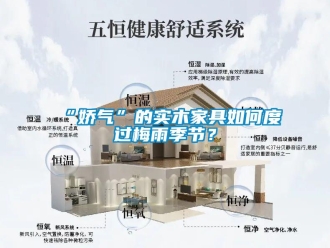 常見問題“嬌氣”的實木家具如何度過梅雨季節？