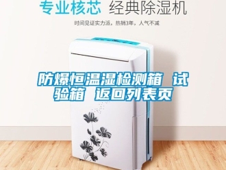 企業手机看片AV短片防爆恒溫濕檢測箱 試驗箱 返回列表頁