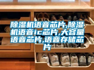行業手机看片AV短片91看片在线下载機語音芯片,91看片在线下载機語音ic芯片,大容量語音芯片,語音存儲芯片