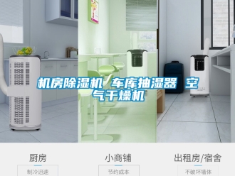 行業手机看片AV短片機房91看片在线下载機 車庫抽濕器 空氣幹燥機