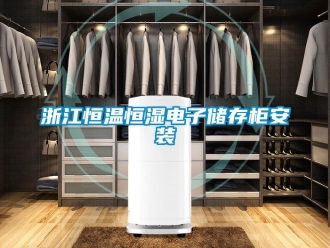 知識百科浙江恒溫恒濕電子儲存櫃安裝